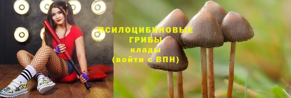 меф Алзамай