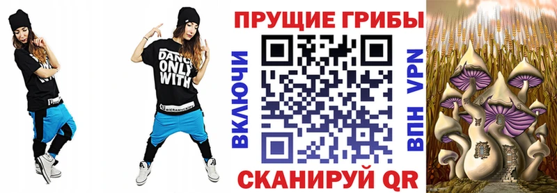 Галлюциногенные грибы мицелий  где можно купить   Алушта 